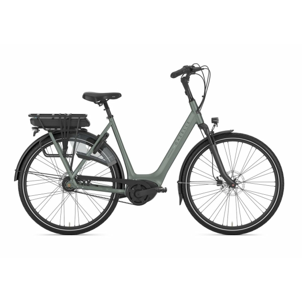 Gazelle Orange C8+ Twilight Green Mat DAMES