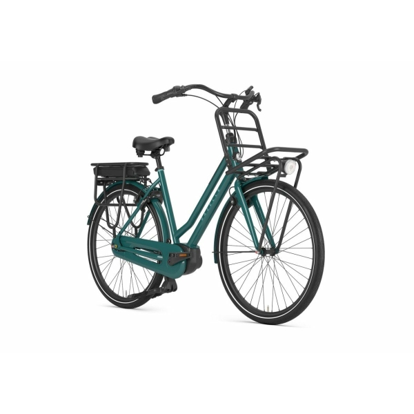 Gazelle HeavyDutyNL C7+ Thyme Green Glans Dames