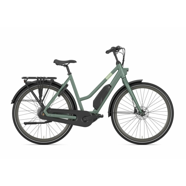 Gazelle Esprit C7 Moss Green Mat DAMES