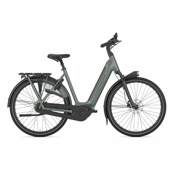 Gazelle Grenoble C8+ Twilight Green Mat DAMES