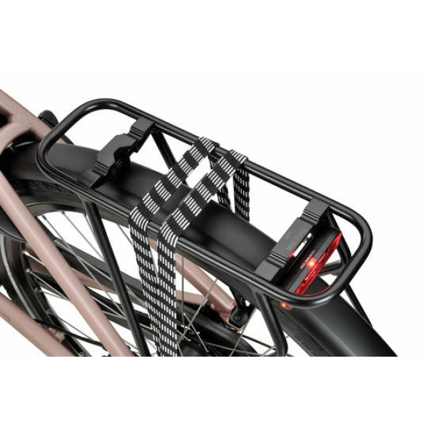 Sparta C-Grid Energy New Pink Matt DAMES