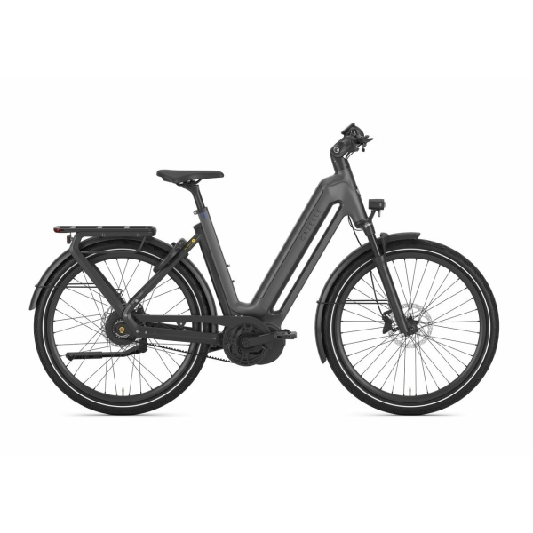 Gazelle Eclipse C380 Anthracite Grey Mat Dames